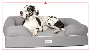 PetFusion Ultimate Orthopedic Dog Bed Review: Is It Worth It?