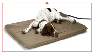 Cooling vs Heating Orthopedic Dog Beds: Find the Best for Year-Round Comfort