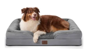 Top 10 Affordable Orthopedic Dog Beds Under $100