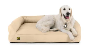 Best Orthopedic Dog Beds This Year: Ultimate Buyer’s Guide for Every Breed & Budget