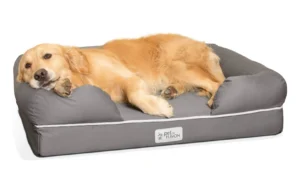 Best Orthopedic Dog Beds for Senior Dogs with Arthritis Relief