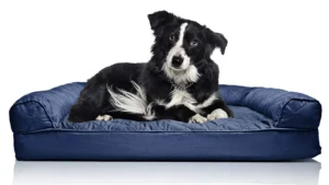 How to Choose the Right Size Orthopedic Dog Bed (With Breed Chart)