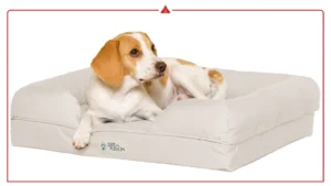 Best Orthopedic Dog Beds for Small Dogs That Love to Curl Up