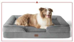 Best Orthopedic Dog Beds for Senior Dogs with Arthritis Relief