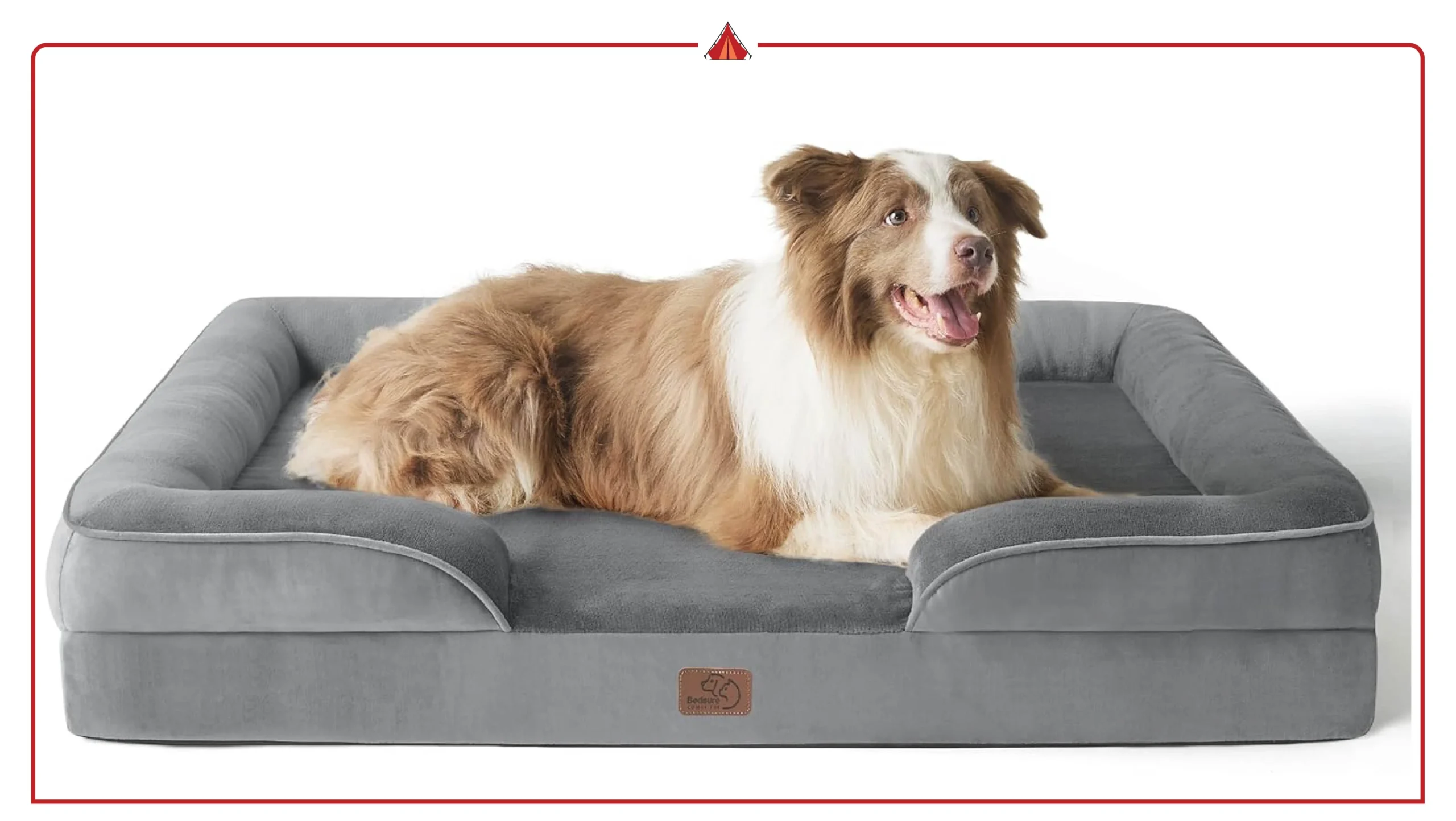 Best Orthopedic Dog Beds for Senior Dogs with Arthritis Relief