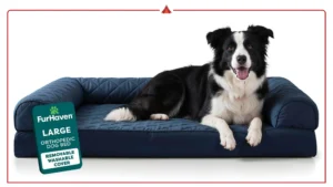 Best Orthopedic Dog Beds: Ultimate Buyer’s Guide for Every Breed & Budget