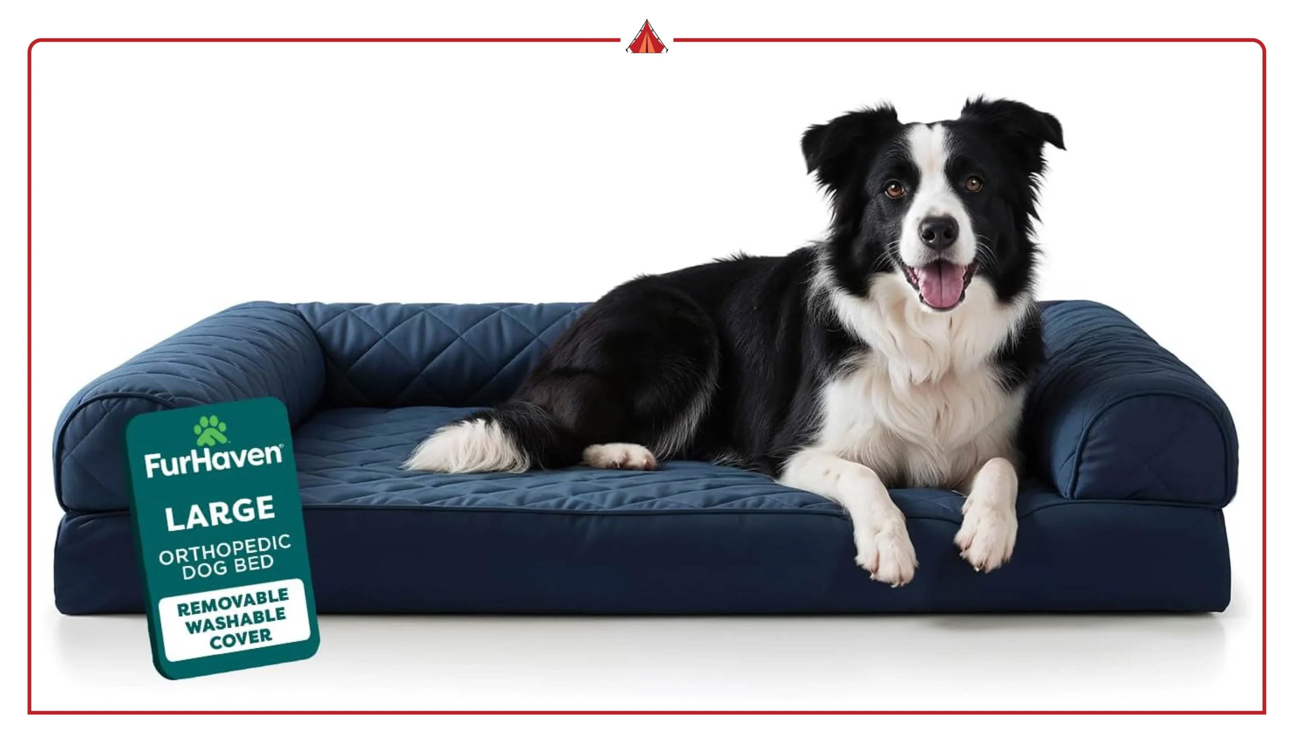 Best Orthopedic Dog Beds: Ultimate Buyer’s Guide for Every Breed & Budget