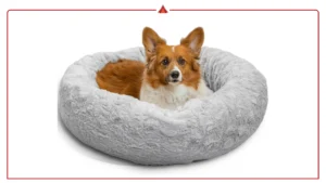 Best Orthopedic Dog Beds for Small Dogs That Love to Curl Up