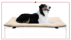 Best Elevated Orthopedic Dog Beds for Outdoor Comfort & Summer Cooling