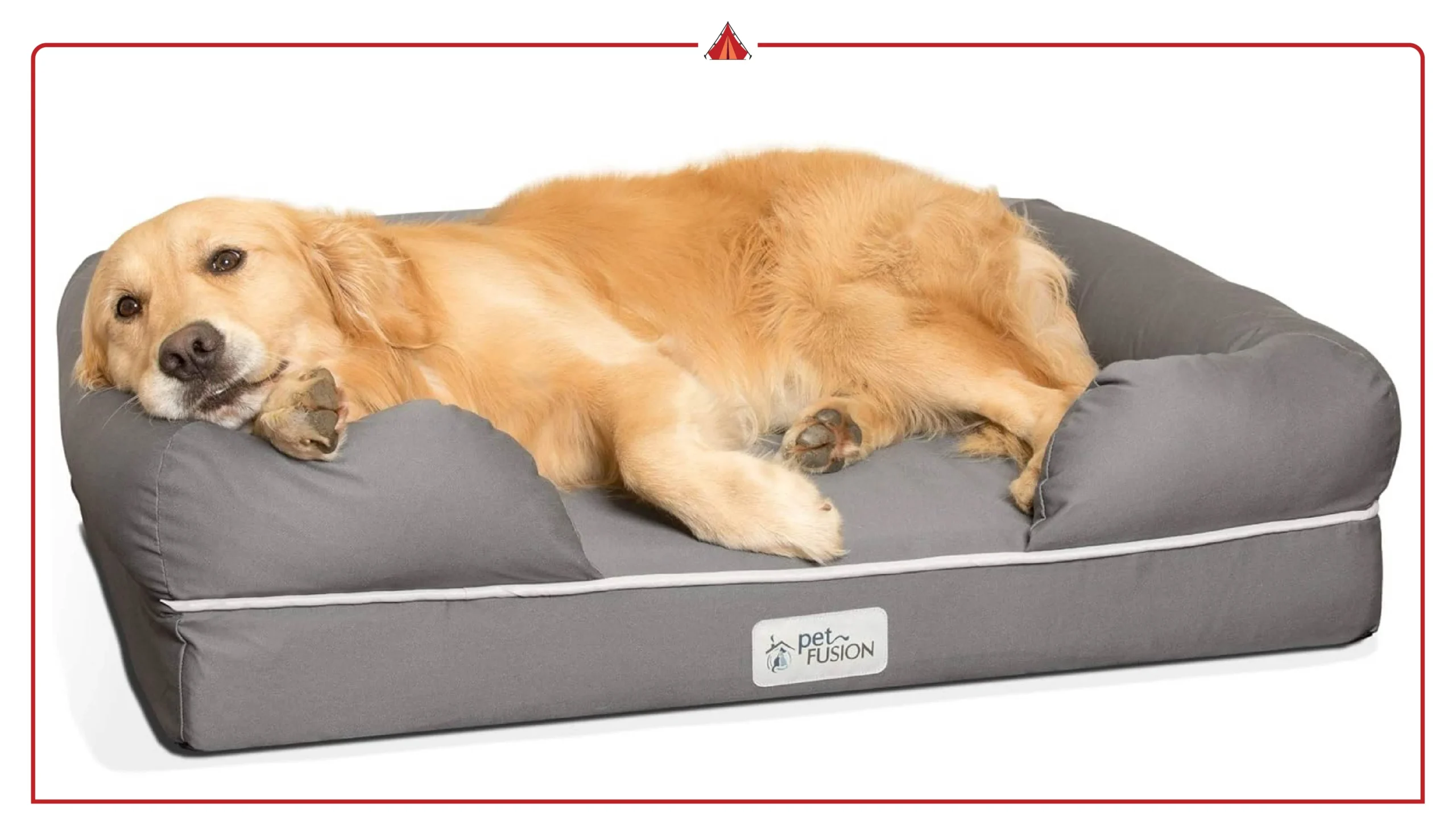 Best Orthopedic Dog Beds for Large Breeds with Hip Dysplasia (This Year's Guide)