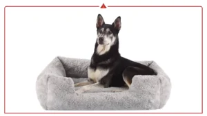 Best Washable Orthopedic Dog Beds with Removable Covers (Cleaning Guide)