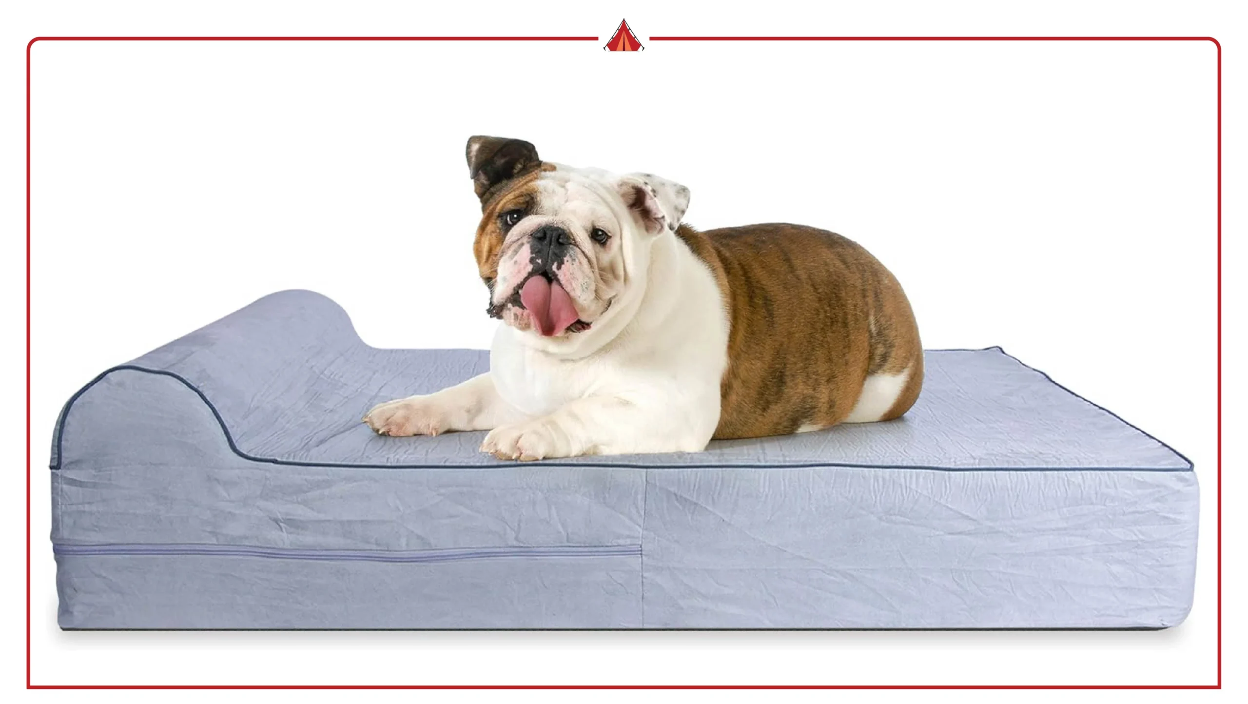 Top 10 Affordable Orthopedic Dog Beds Under $100 | Budget Buyer’s Guide