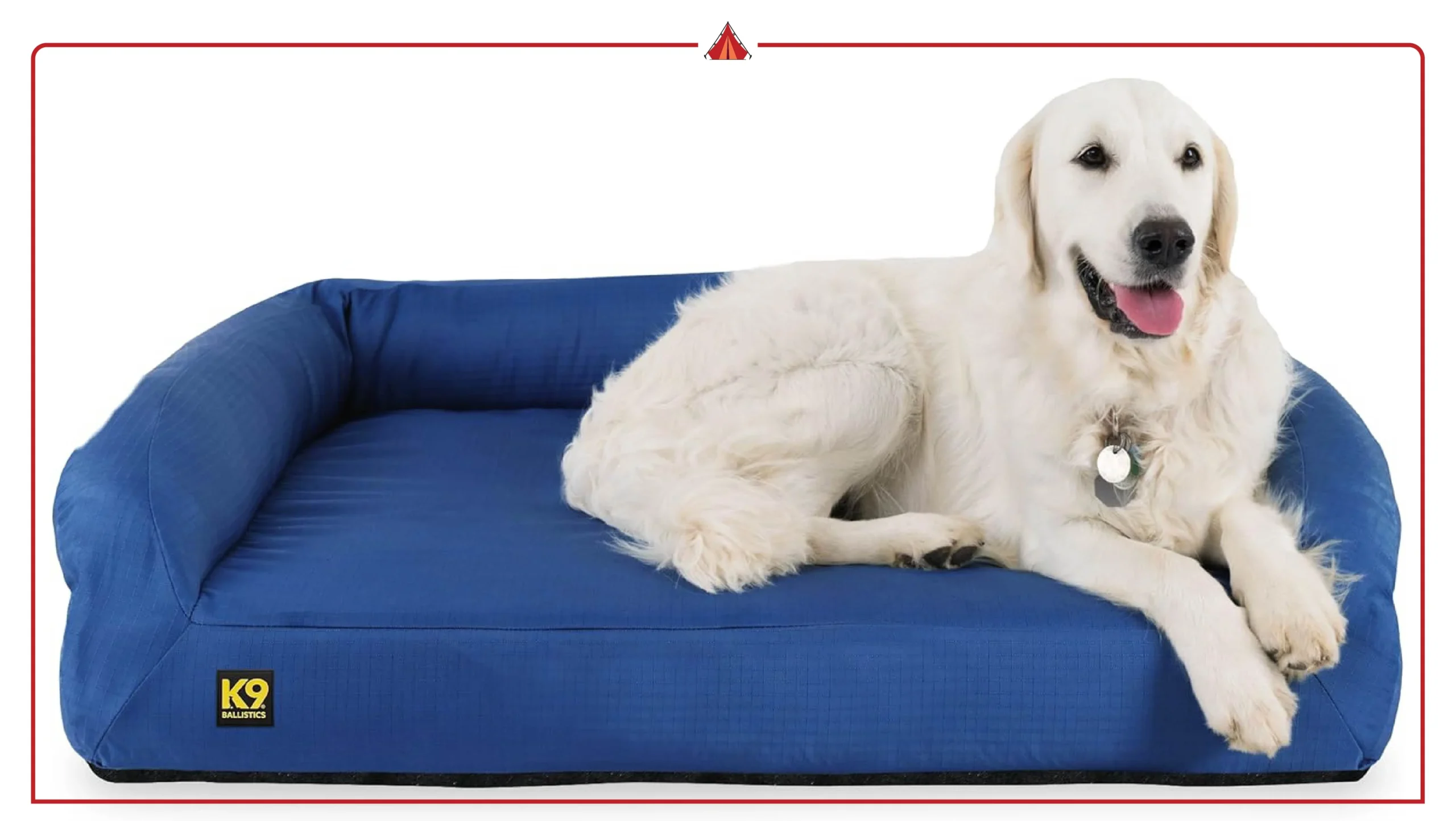 Best Waterproof Orthopedic Dog Beds for Puppies & Accident-Prone Pets