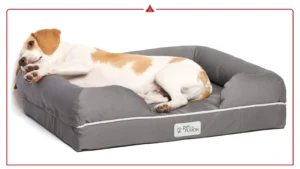 How to Choose the Right Size Orthopedic Dog Bed (With Breed Chart)