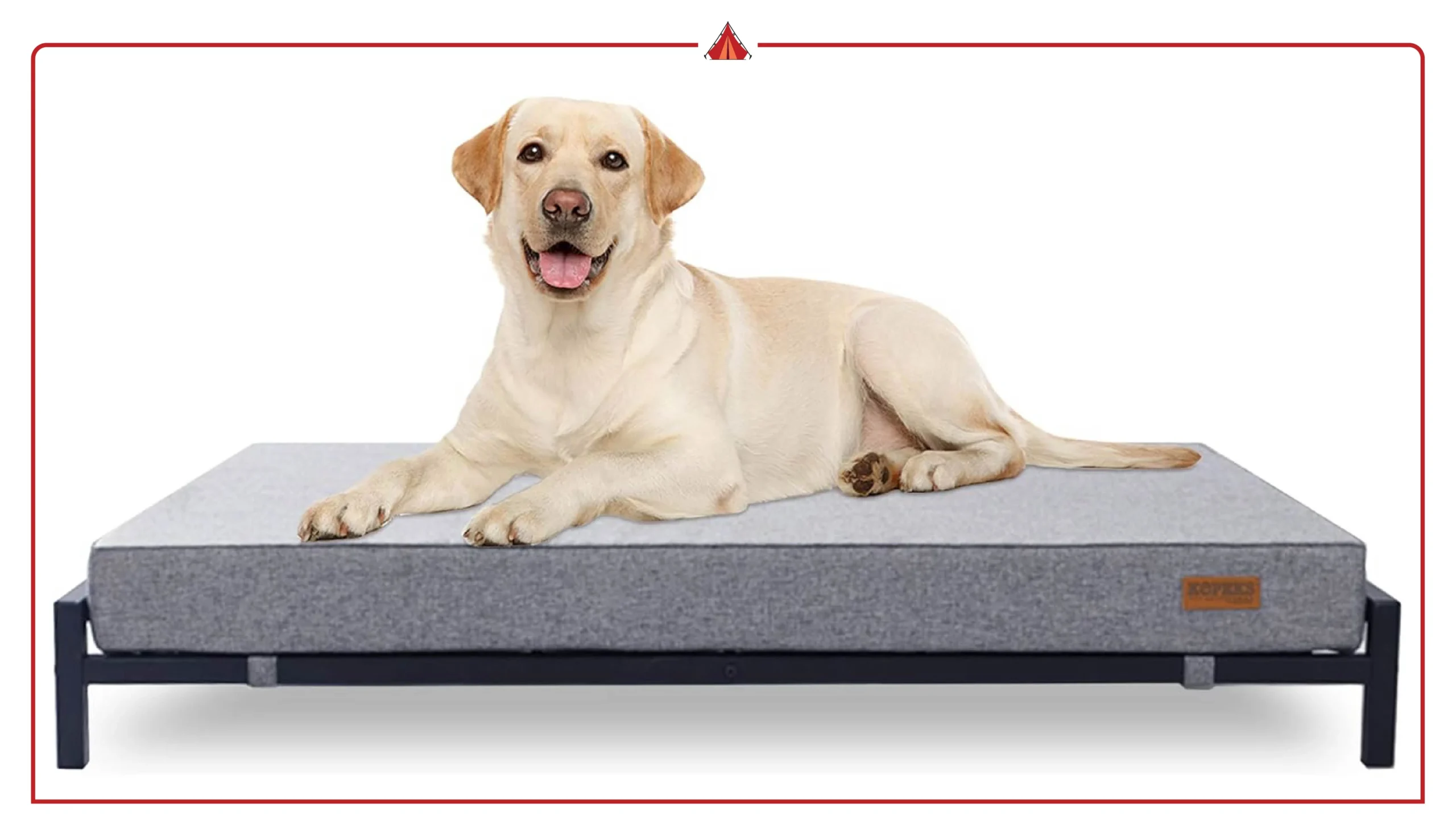 Top Luxury Orthopedic Dog Beds for Stylish Modern Homes