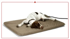 Cooling vs Heating Orthopedic Dog Beds: Find the Best for Year-Round Comfort