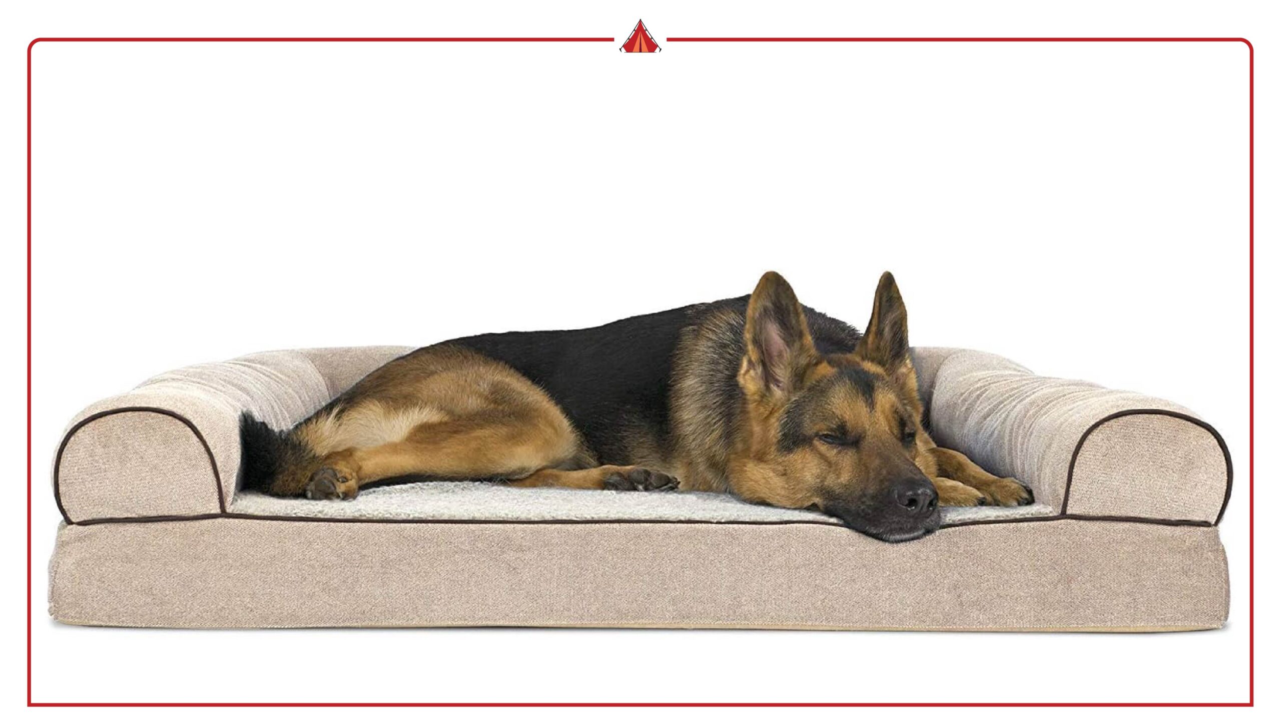 Furhaven vs PetFusion: Best Orthopedic Dog Bed for Comfort & Value